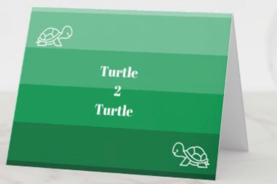 Turtle 2 Turtle card